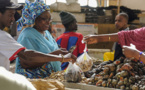 Sénégal : La croissance économique projetée à plus de 10 % en 2025 (FMI)