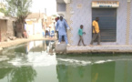 ​Problèmes d’assainissement : le calvaire des populations de Médina Marmiyal
