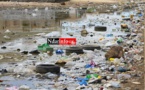 Saint-Louis : Pikine veut se doter d’un système de collecte des eaux usées