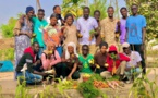 Autosuffisance alimentaire : un écologiste rappelle l'importance de l’arboriculture