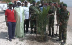 ​Saint-Louis : des pieds de cocotiers et de dattiers plantés pour reverdir la Grande Mosquée