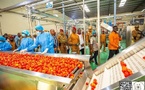 Le Burkina inaugure sa deuxième usine de transformation de tomates