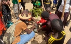 Bop Thior : le Collectif UGB Verte plante 126 arbres dont 84 fruitiers sur l’île