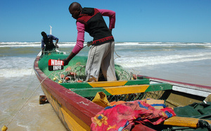 Saint-Louis : plusieurs pêcheurs portés disparus à Nouadhibou