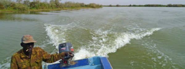 Saint-Louis : un policier meurt noyé dans le fleuve à Djoudj