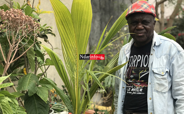 ​Abdou SECK, arboriculteur fruitier : " Partager mon Savoir avec les jeunes générations, c'est ma plus grande passion "