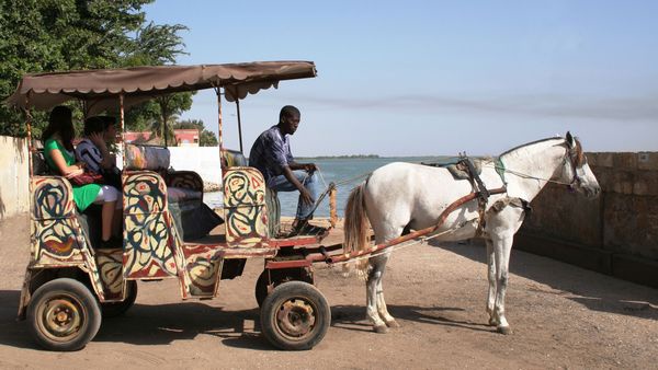 COVID-19 : les acteurs du tourisme invités à sauvegarder les emplois