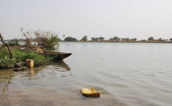 Fleuve Sénégal : l’eau continue de monter à Podor