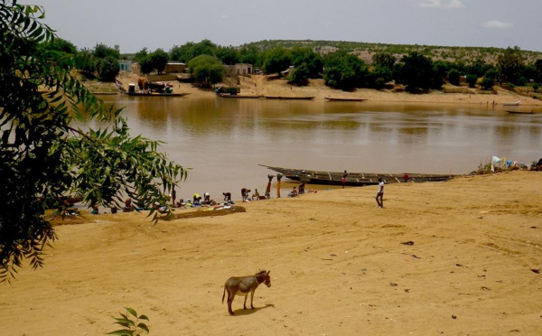 Fleuve Sénégal : une légère remontée des eaux à Bakel