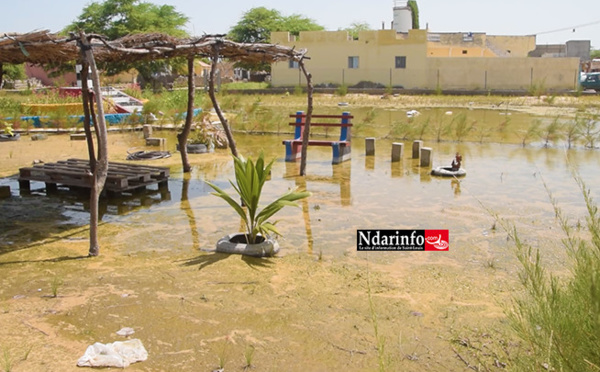 Une partie de Ndébène Gandiol inondée : les populations réclament le plan ORSEC (vidéo)