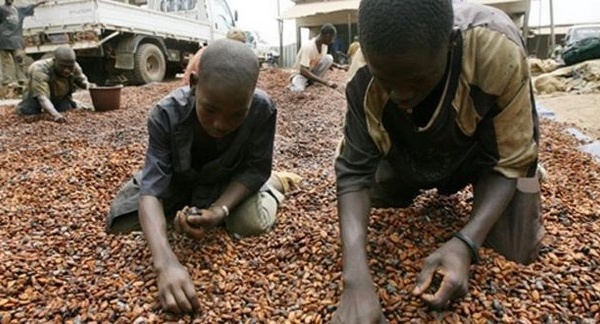 Travail précoce: 2,7 millions d’enfants actifs au Sénégal