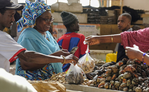 Sénégal : La croissance économique projetée à plus de 10 % en 2025 (FMI)