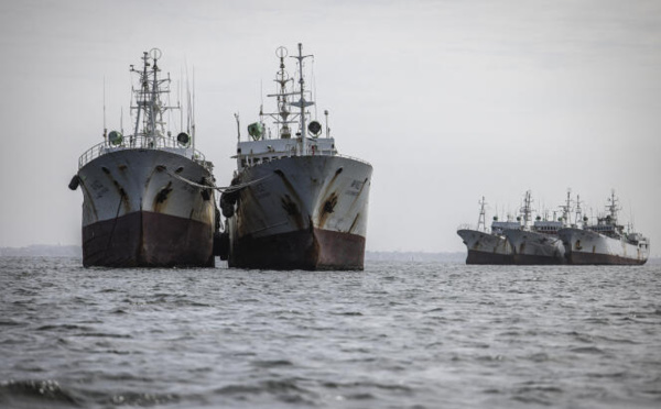 Pêche illicite et non réglementée : 24 navires ont été arraisonnés en six mois