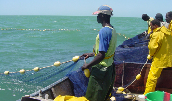 La Mauritanie expulse 74 pêcheurs de Saint-Louis, en situation irrégulière