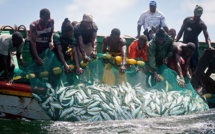 Mauritanie: 40 pêcheurs sénégalais expulsés. 131 arrêtés depuis mercredi.