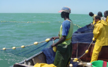 Vaste opération de recensement des pêcheurs sénégalais établis en Mauritanie