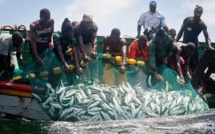 Banjul : les accords de pêche attendus avec "intérêt" par des pêcheurs et mareyeurs sénégalais