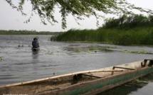 Fleuve Sénégal: Macky Sall remplace Alpha Condé à la tête de l’organisation