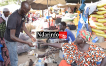 Marché Tendjiguène : le poulet maigre et cher, les " bagages" du «  Ngalakh », très coûteux (vidéo)