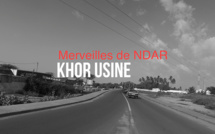 Merveilles de Saint-Louis : KHOR Usine, un potentiel horticole à soutenir.