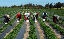 Regard sur l’expérience du Programme des domaines agricoles communautaires au Sénégal