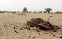 Rareté de l’eau potable à Niassanté dans le Dagana : La population frustrée lance un appel à Macky Sall