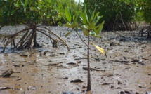 Une étude met en relief l’impact de la croissance démographique sur les ressources naturelles