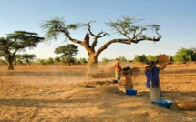 Sénégal : des femmes devenues autonomes grâce à l'agriculture