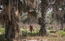 Mame Mbaye Niang sur le viol des touristes espagnoles : «cet acte odieux n’a rien à voir avec l’hospitalité des Casamançais»