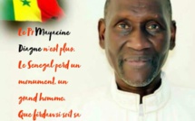 Hommage au Professeur Mayacine DIAGNE. Par Saliou Bobo Kane Diallo