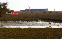 Reprise de l'usine chinoise de Mbambara : Silence sur une catastrophe sanitaire et environnementale à la porte de Saint-Louis (vidéo)