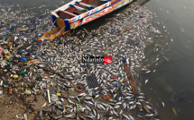 Indiscipline : quatre pirogues déversent leurs contenus dans le fleuve (vidéo)