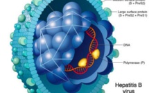 ​Journée mondiale de l’hépatite : 2 millions de Sénégalais sont porteurs de cette maladie