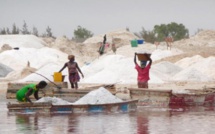 Le Sel Sénégalais est Mauvais (Rapport Greenpeace)