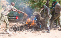 ​PARC DU DJOUDJ : 2 braconniers arrêtés avec 7 pirogues, 42 filets de pêche saisis et brûlés (vidéo)