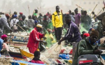 Les 350 pêcheurs refoulés de la Mauritanie "sont dans une situation irrégulière", selon le directeur des pêches