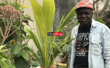 ​Abdou SECK, arboriculteur fruitier : " Partager mon Savoir avec les jeunes générations, c'est ma plus grande passion "