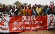 Dodele : La Cour Suprême annule l’affection d’un terrain de 10.000 hectares au groupe Afri Partners