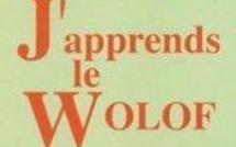 LE WOLOF TOUJOURS MASSACRÉ PAR LES RADIOS ET TÉLÉVISIONS: IGNORANCE OU COMPLAISANCE COUPABLE DES PATRONS DE PRESSE ?