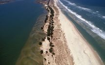 [VIDEO] Saint-Louis: le parc de la Langue de barbarie menacé par la mer