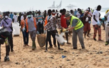 Journée africaine des mers et des océans : 6 tonnes de déchets plastiques recueillies, les acteurs sensibilisés sur la protection des espèces protégées marines