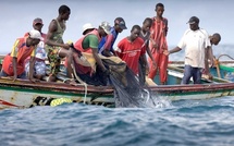 Appel aux candidats à la présidentielle pour une pêche durable