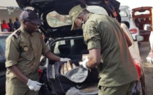 Drogue saisie au Port : un gros bonnet tombe