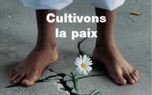 CONTRIBUTION  Pour une préservation de la paix sociale