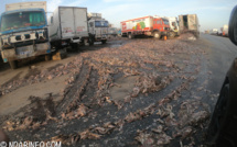 INDISCIPLINE : des milliers de poissons pourris déversés à l’entrée de Saint-Louis (photos)