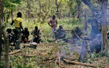 Casamance : Attaque inopinée de 4 individus armés à Saliotte