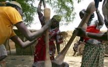 Journée internationale de la femme: le rôle crucial de la femme rurale