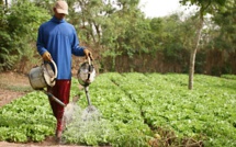 Saint-Louis : Un lot de matériéls agricoles remis aux producteurs de Rao