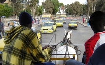 Saint-Louis : La nomination de Youssou Ndour appréciée positivement par certains acteurs du tourisme 