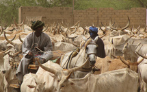 Destruction de la ferme de Wade à Diokoul Diawrigne: Les 12 paysans restent en prison